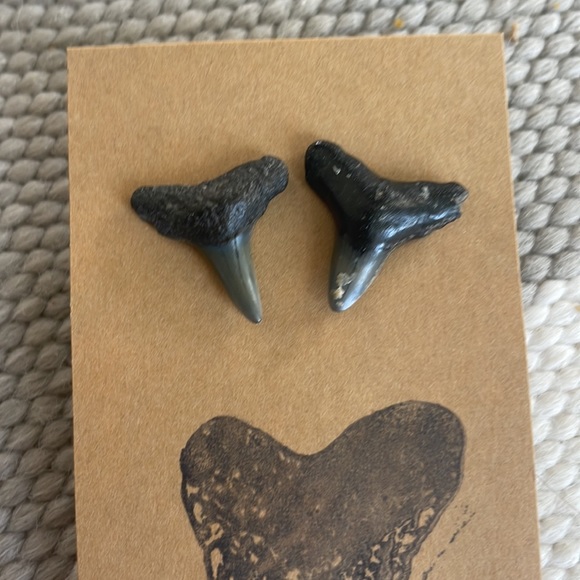 Shark Teeth Stud Earrings - Picture 2 of 4